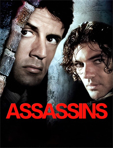 很抱歉,如果我叫爱情