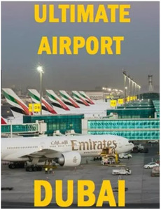 等风来视障解说版