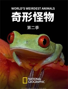 跨界喜剧王 第五季