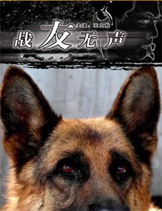 正义联盟：无限地球危机中