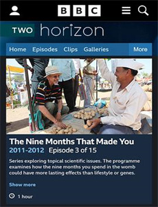 最强大脑之燃烧吧大脑升级版