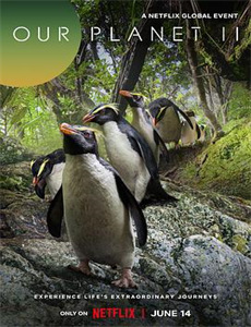 爱我者予我牢笼